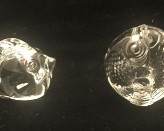 Fishy fun with a fish and goldfish. 