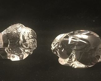 A buffalo and a bunny. 