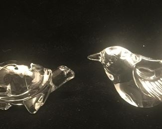 A turtle with a bird. 