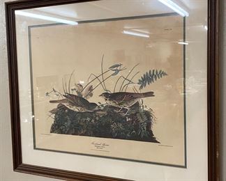 Sparrow Lithograph