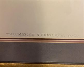 #23	Floral Print in Gold-painted Frame - 32x43	 $50.00 
