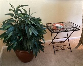 Iron glass table-  silk plant 