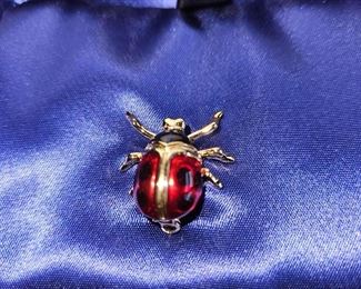 Lady Bug Brooch!