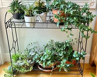 Plant Stand (plants are not for sale)