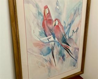 Framed Madden parrots print