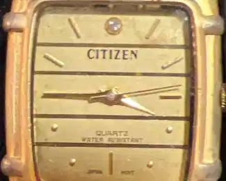 Citizen watch