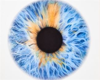 91. MARC QUINN "WE SHARE OUR CHEMISTRY WITH THE STARS" (2015)