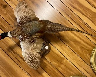 I hung it on wall. It’s in good shape. 