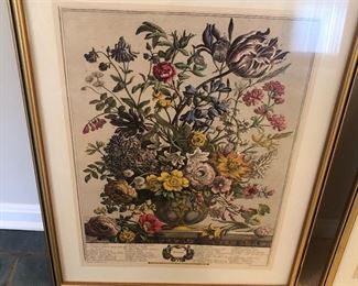 Vintage botanical print