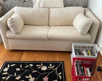 white couch is a sleeper. Great rug. More books