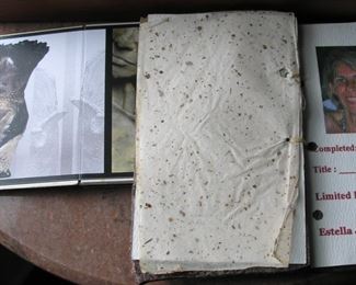 Estella Fransbergen Commissioned Female Torso with certificate of Authenticity. 