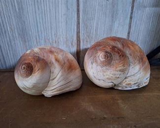 (2) Seashells