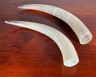 (2pc) Horns | l. 19 in (longest)