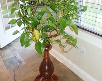 PLANT STAND - PLANTS