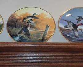 COLLECTOR PLATES ALL DUCK THEME