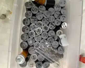 State quarters separated by state