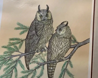 Owl artwork