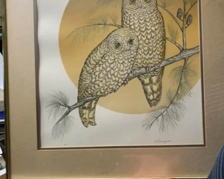 Owl artwork