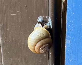 Trying to get a sneak-peek at our sale? Tell us you caught him for a special surprise!