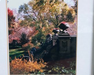 Signed and numbered photo - must see in person!