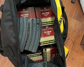 600 rounds of Federal 55 grain 