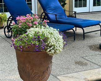PLANTERS OF SUMMER COLOR