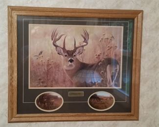 Framed whitetail deer print