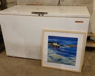 Large chest type freezer