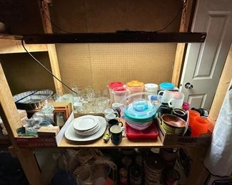 EnviroGro plant light and misc. household items