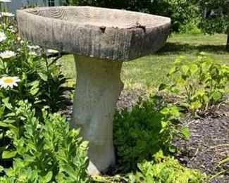 Bird Bath