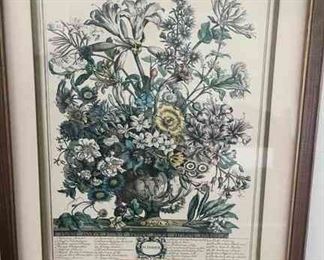 Botanical Print for the month of October, framed