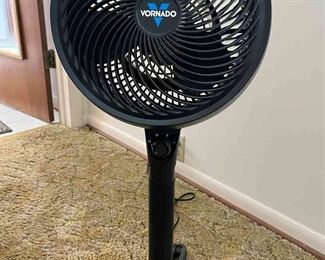Fan on stand with adjustable height