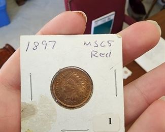 Indian Head Cent