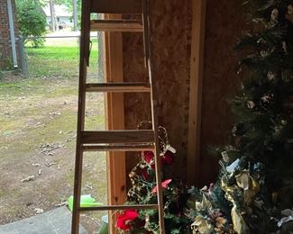 Storage building in back yard