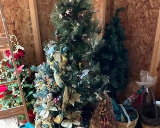 Storage building in back yard