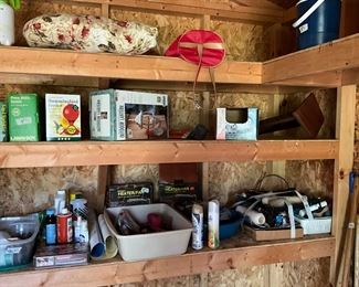 Storage building in back yard