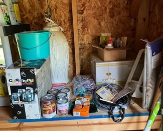 Storage building in back yard