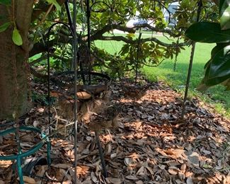 Iron shepherd's hooks and hanging baskets