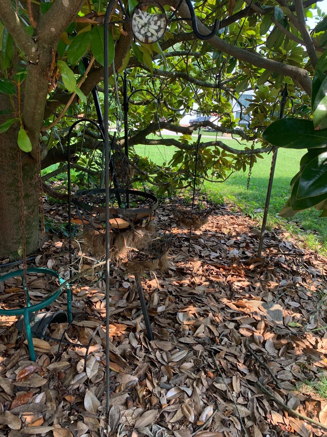 Iron shepherd's hooks and hanging baskets