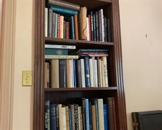 Art porcelain library