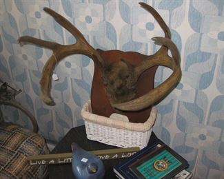 Old mount from 1800's