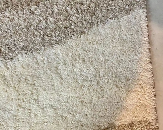 Area rug