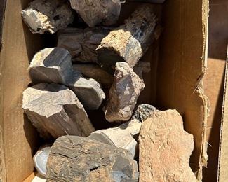 End polished petrified wood. Some from Eden Valley. 