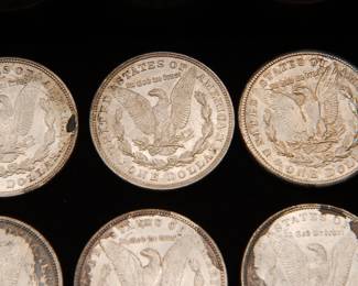 Detail on the Twenty Five old silver dollars, eighteen (18) Morgan Silver Dollars and seven (7) Peace Silver Dollars