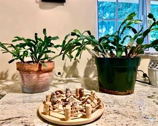 2 Christmas Cactus - Schlumbergera Truncata