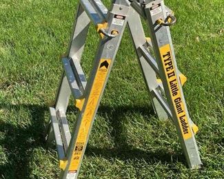 Type II Little Giant Ladder