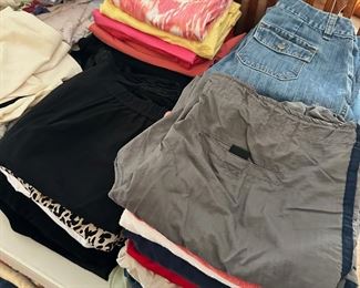 Women's Clothing. Lots of Chico's Brand, Coldwater Creek, some vintage. Sizes range from Chicos (1-3) and other brands S-L. 