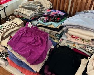 Women's Clothing. Lots of Chico's Brand, Coldwater Creek, some vintage. Sizes range from Chicos (1-3) and other brands S-L. 