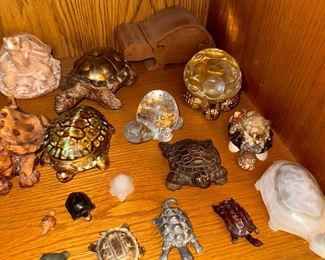 Turtle Collection