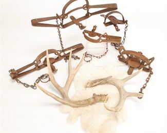Antique Hunting Traps, Antlers & Fur Pelt